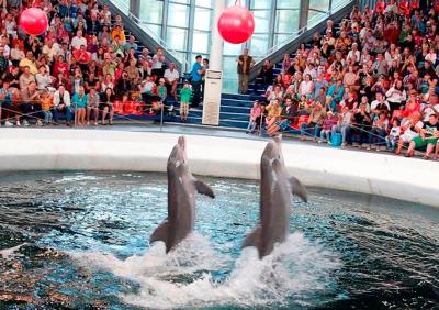 TOUR TO VARNA - DOLPHIN SHOW 4
